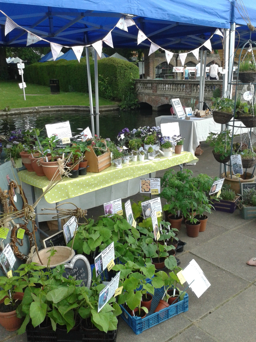 theflowerbarn.uk Gallery